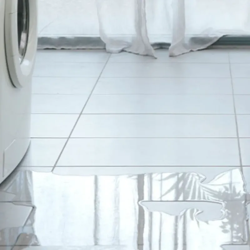 Appliance Leak Cleanup in Avila Beach, CA